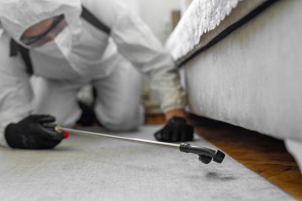 Professional Wasp Control technician working in Martinsville, NJ