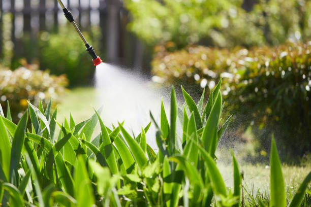 24/7 Emergency Mosquito Control experts in Martinsville, NJ