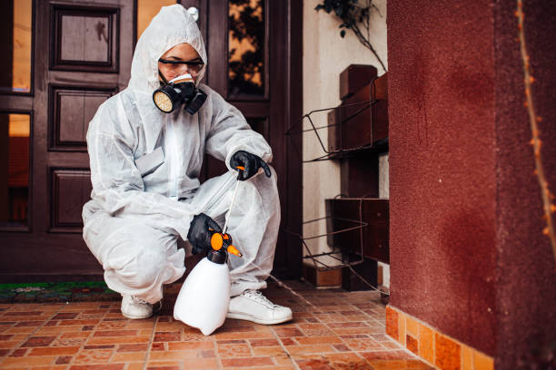 Reliable Mosquito Control contractor in Martinsville, NJ by Nex Pest Control