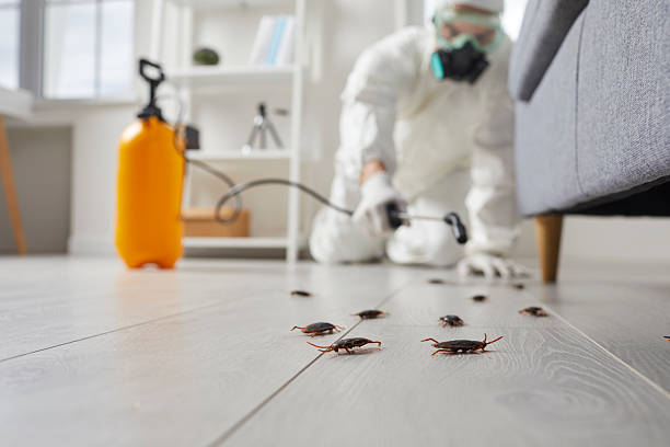 Trusted Fumigation Services service in Martinsville, NJ - Nex Pest Control