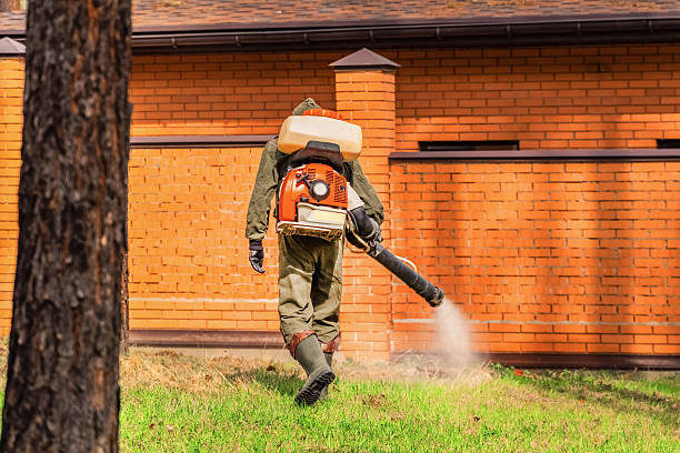 Trusted Ant Control service in Martinsville, NJ - Nex Pest Control